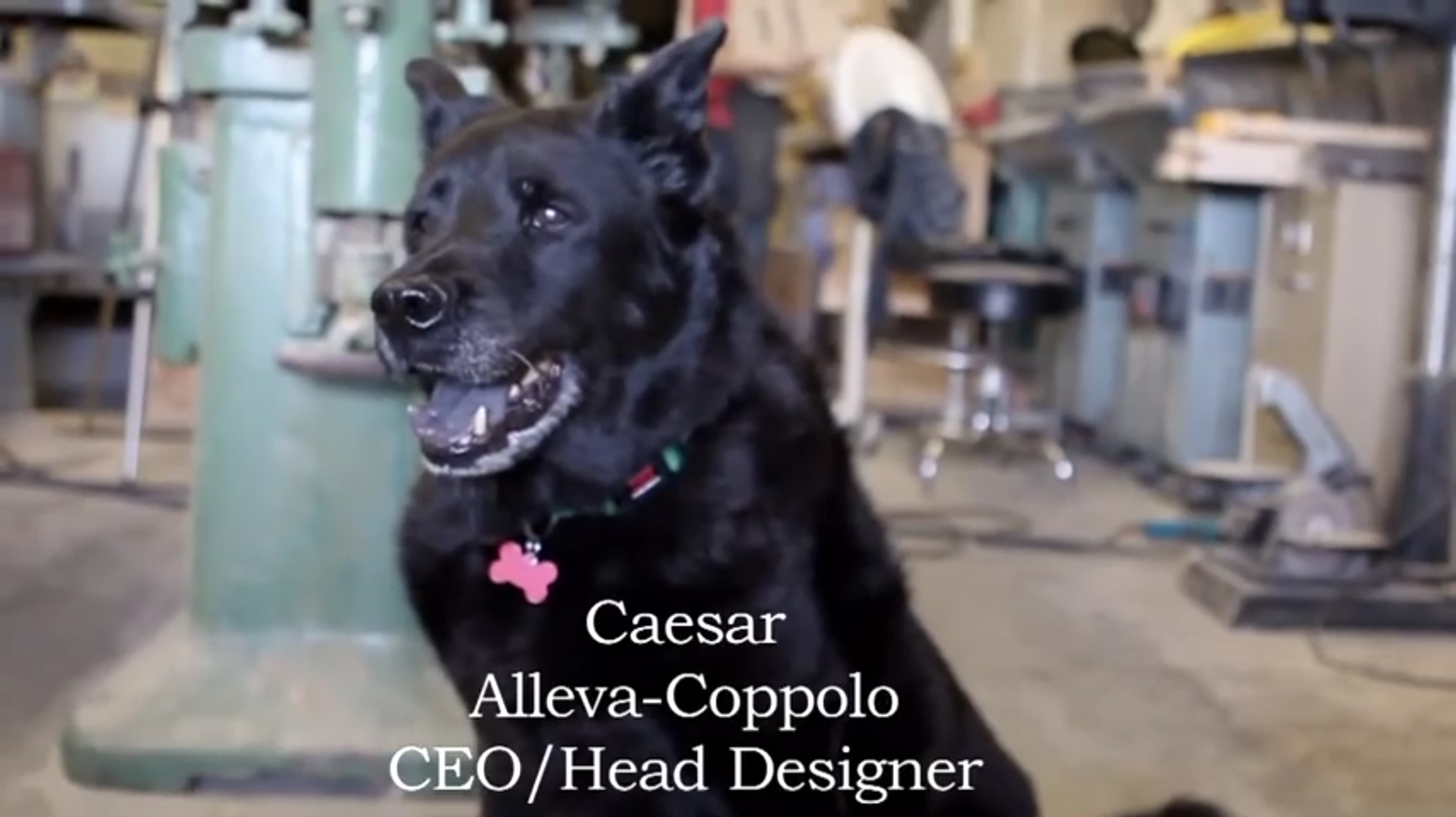 CEO:Head Designer.png