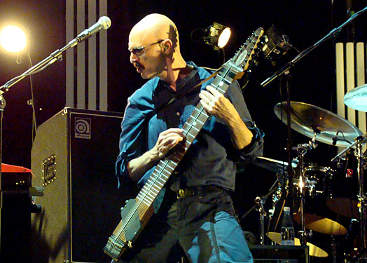 Chapman_Stick.jpg