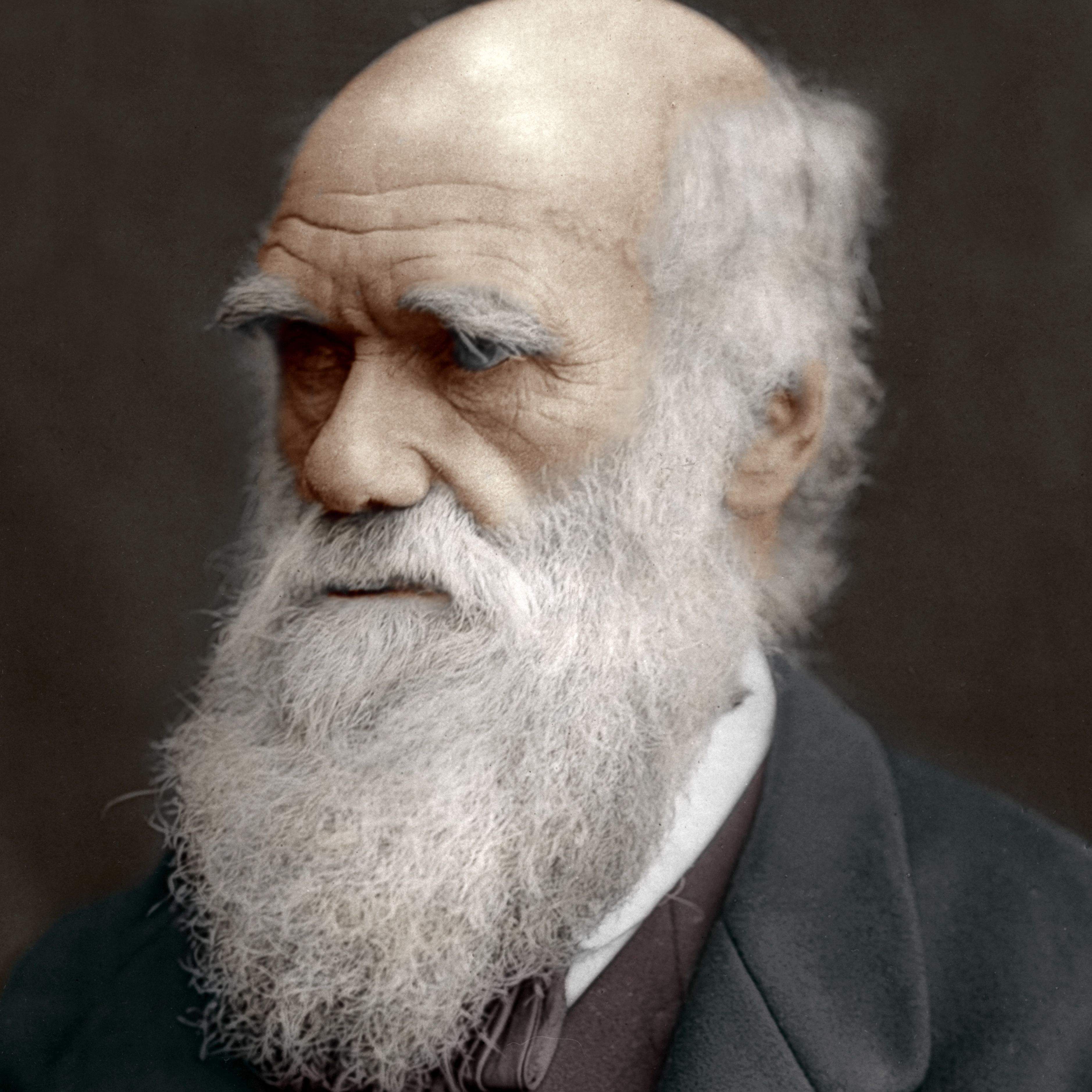 Charles Darwin.jpg
