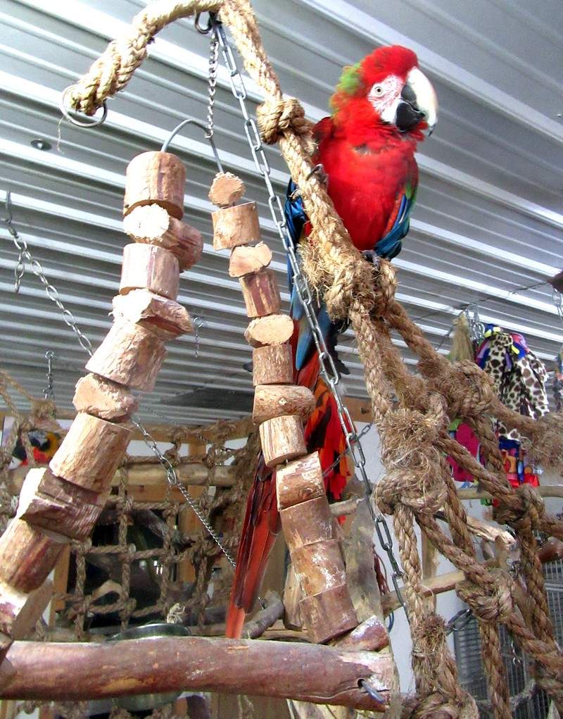 CharmTree.jpg