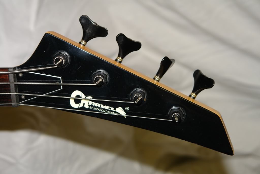 charvelheadstock.jpg