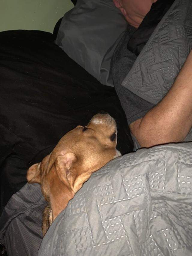 Charz sleeping.jpeg