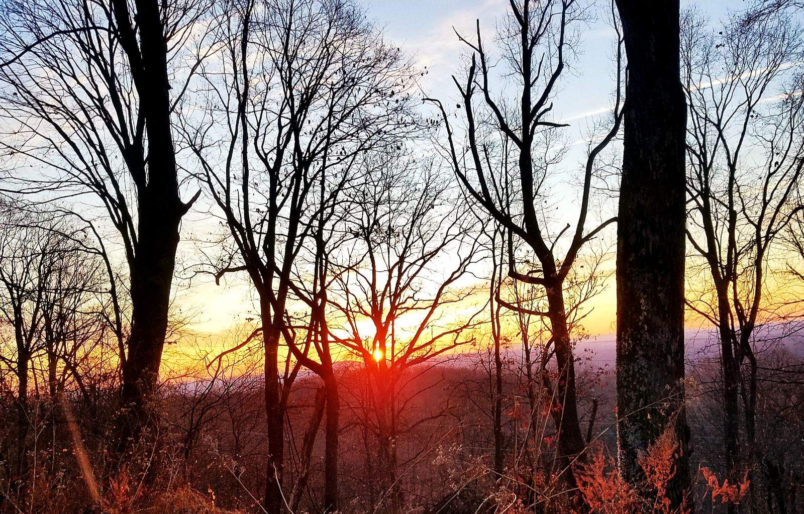 Chestnut Mountain.jpeg