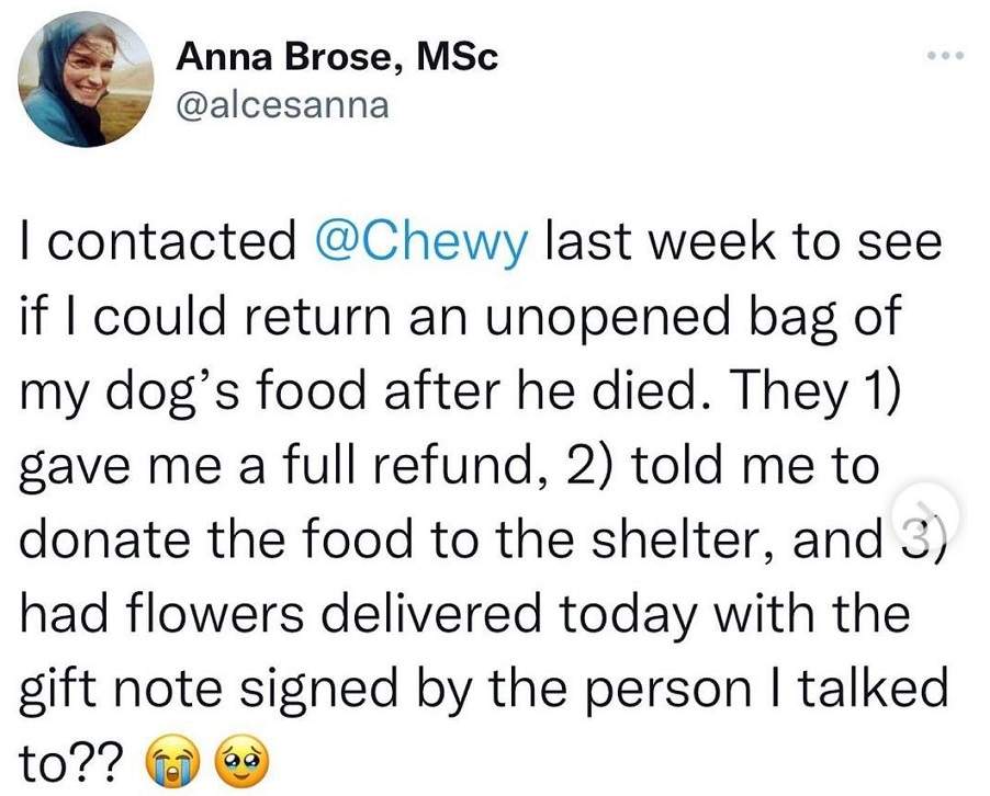 chewy.jpg