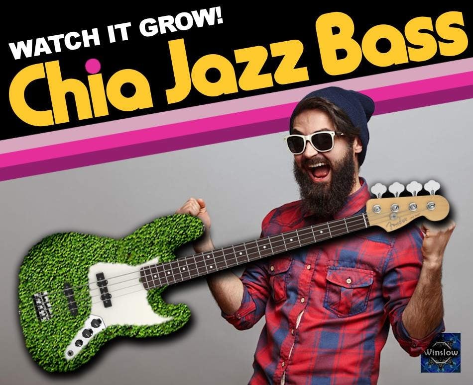 Chia Jazz-win.jpg