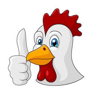 chicken-thumb-up.jpg