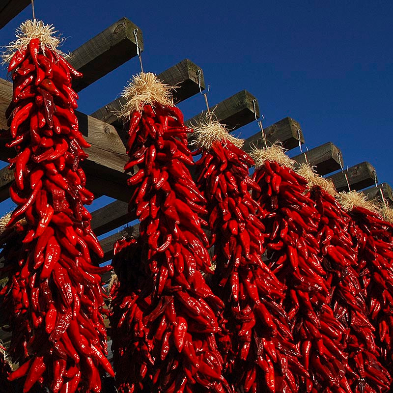 chile-ristras.jpg