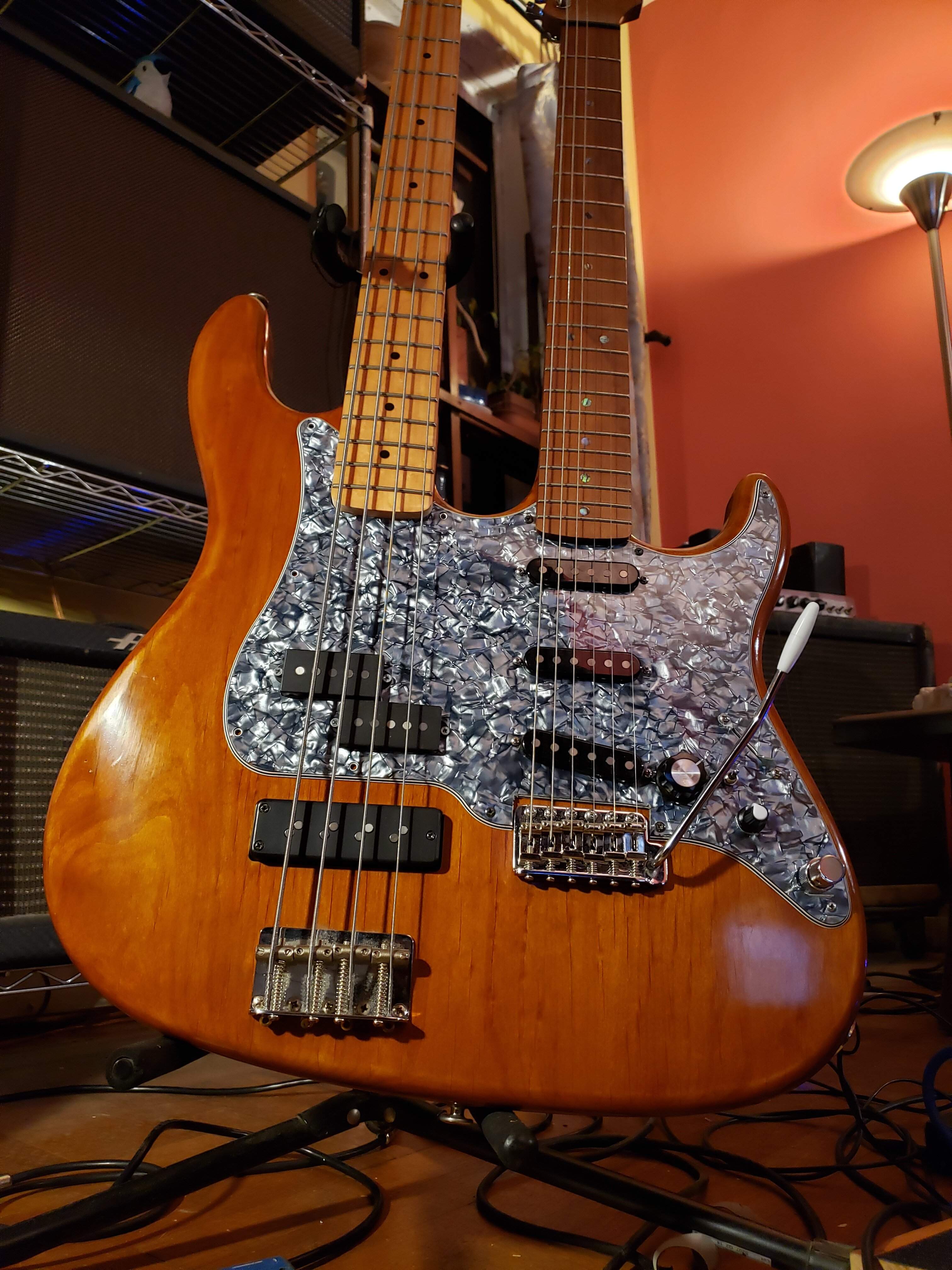 chirocaster front 1.jpg