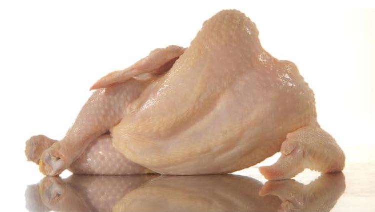 chkn sxy.jpg