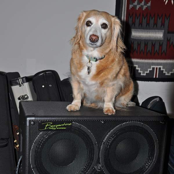 Chloe-on-Berg-01.jpg