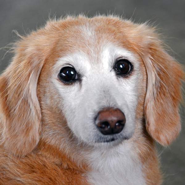 Chloe-profile.jpg