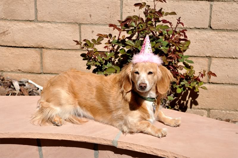 ChloeAge4.jpg
