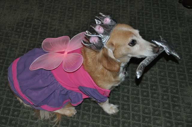 ChloeFairyPrincess.jpg