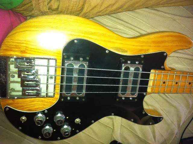 Chopped Peavey.JPG