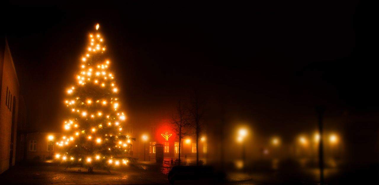 Christmas Trees 18 - Desktop.jpg