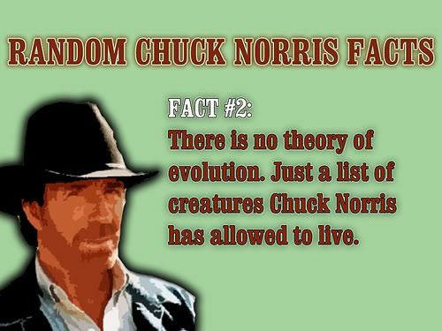 chuck-norris-evolution.jpg