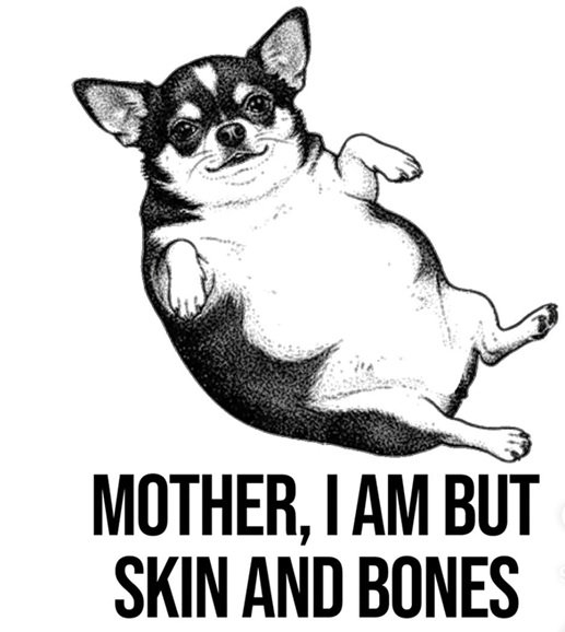 chunky dog.jpg