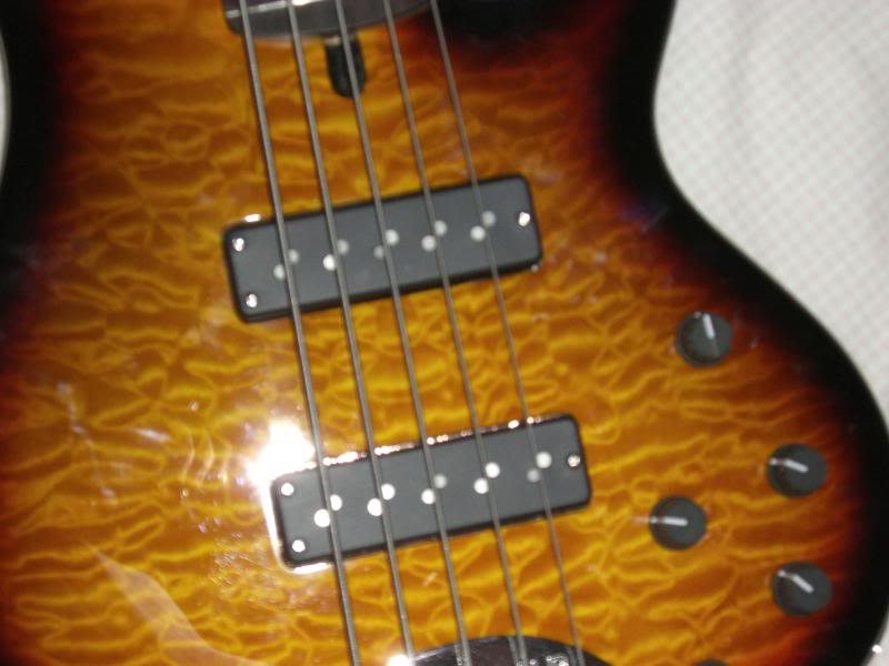CIMG0165.jpg