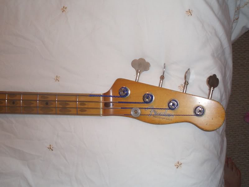 CIMG0222.jpg