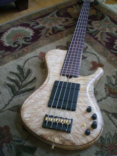 CIMG0295.jpg
