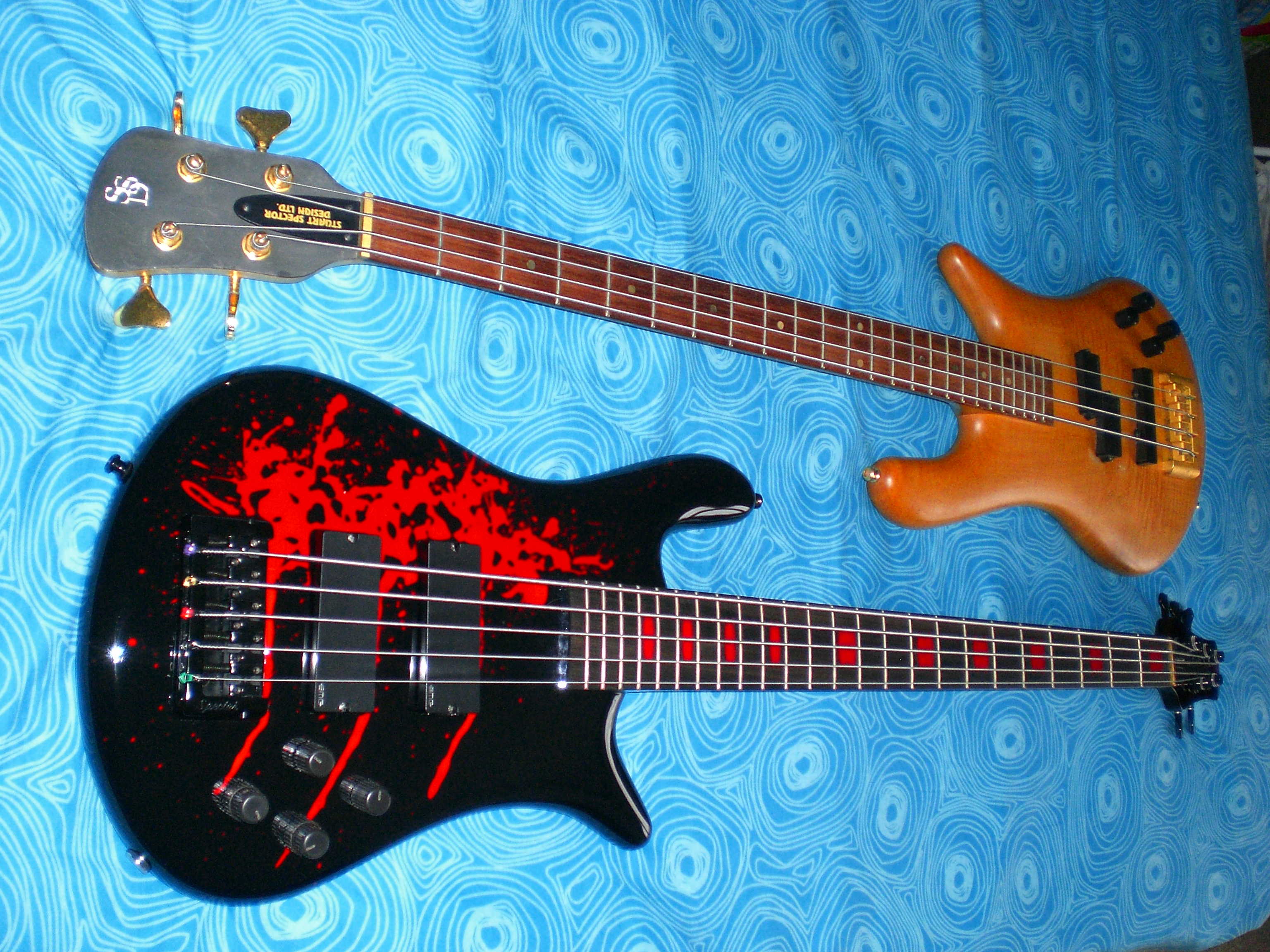 CIMG0308.jpg