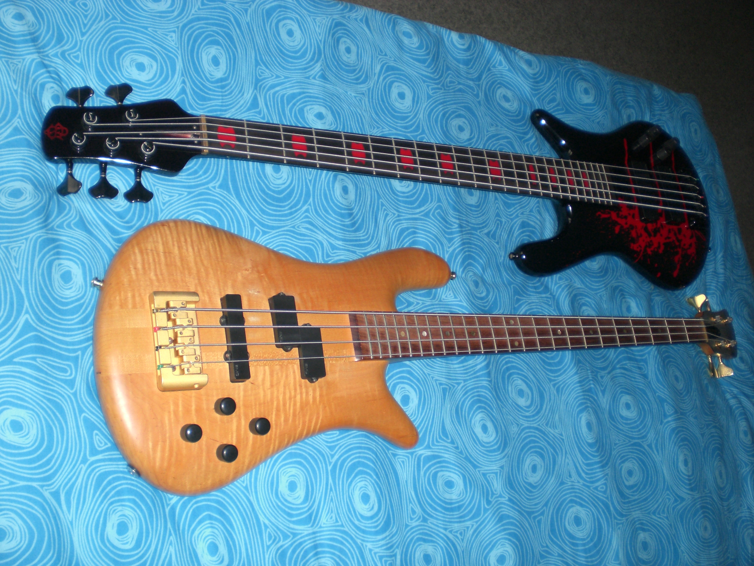 CIMG0317.jpg
