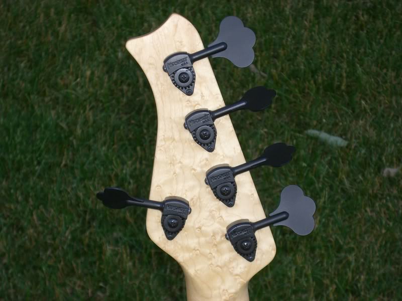 CIMG0481.jpg