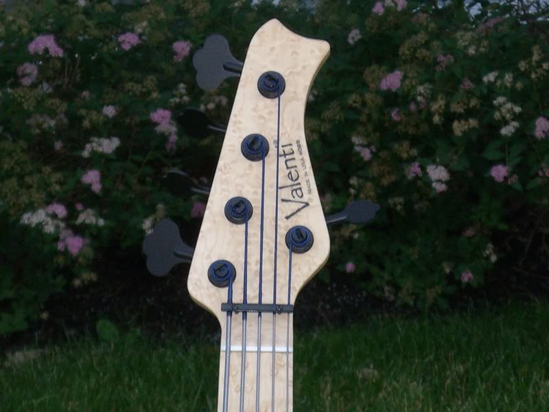 CIMG0490.jpg