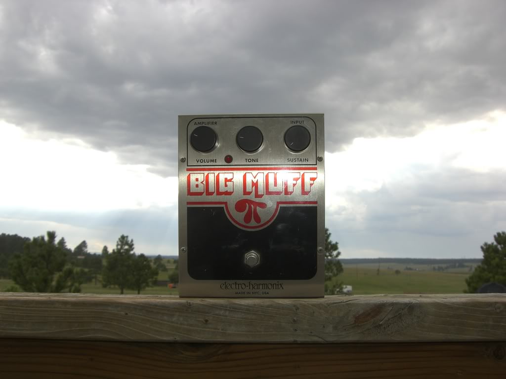 CIMG0517.jpg