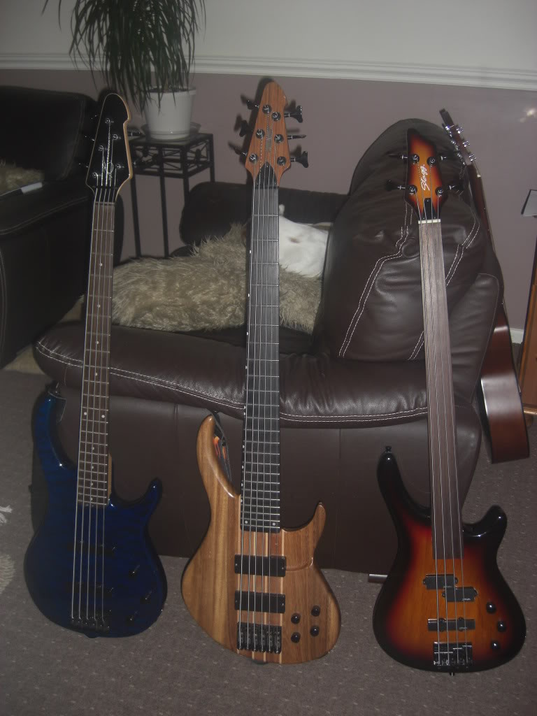 CIMG0690.jpg