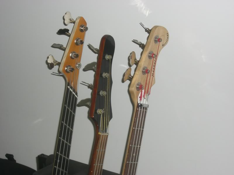 CIMG0828.jpg