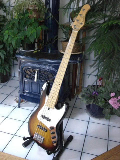 CIMG0994.jpg