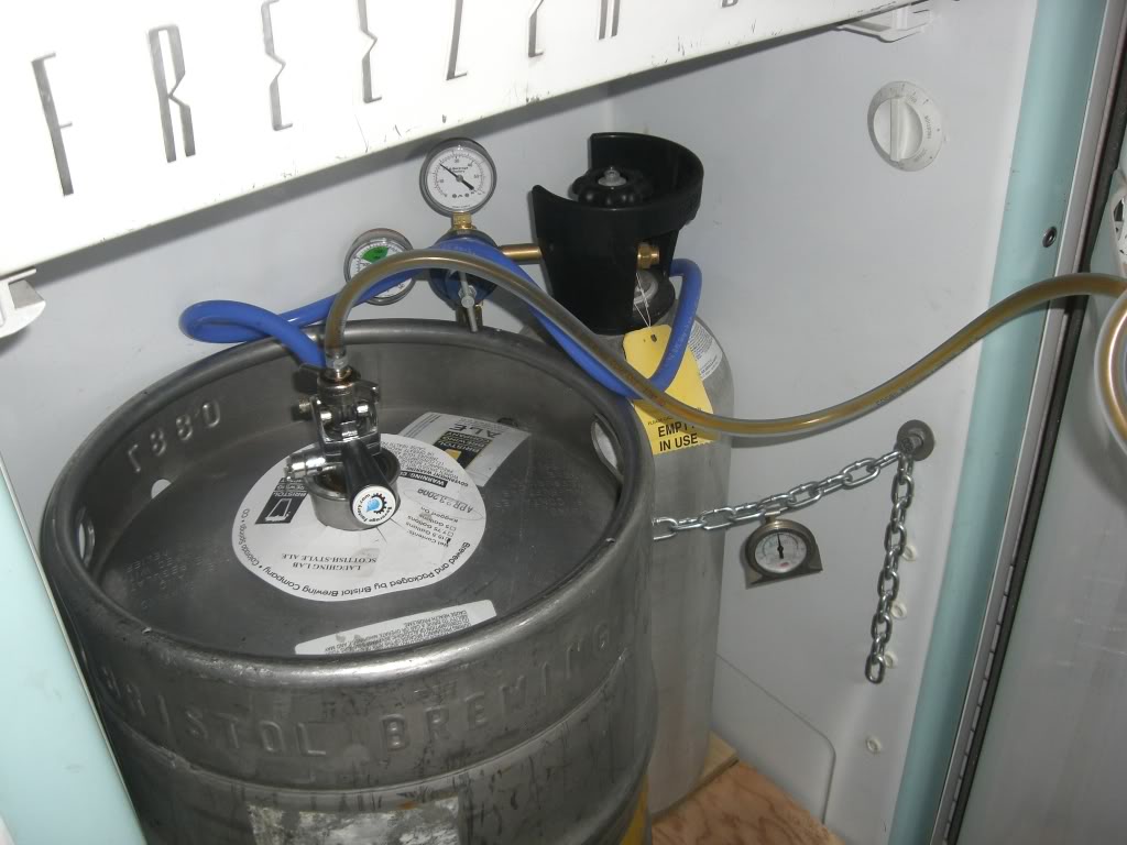 CIMG1146.jpg