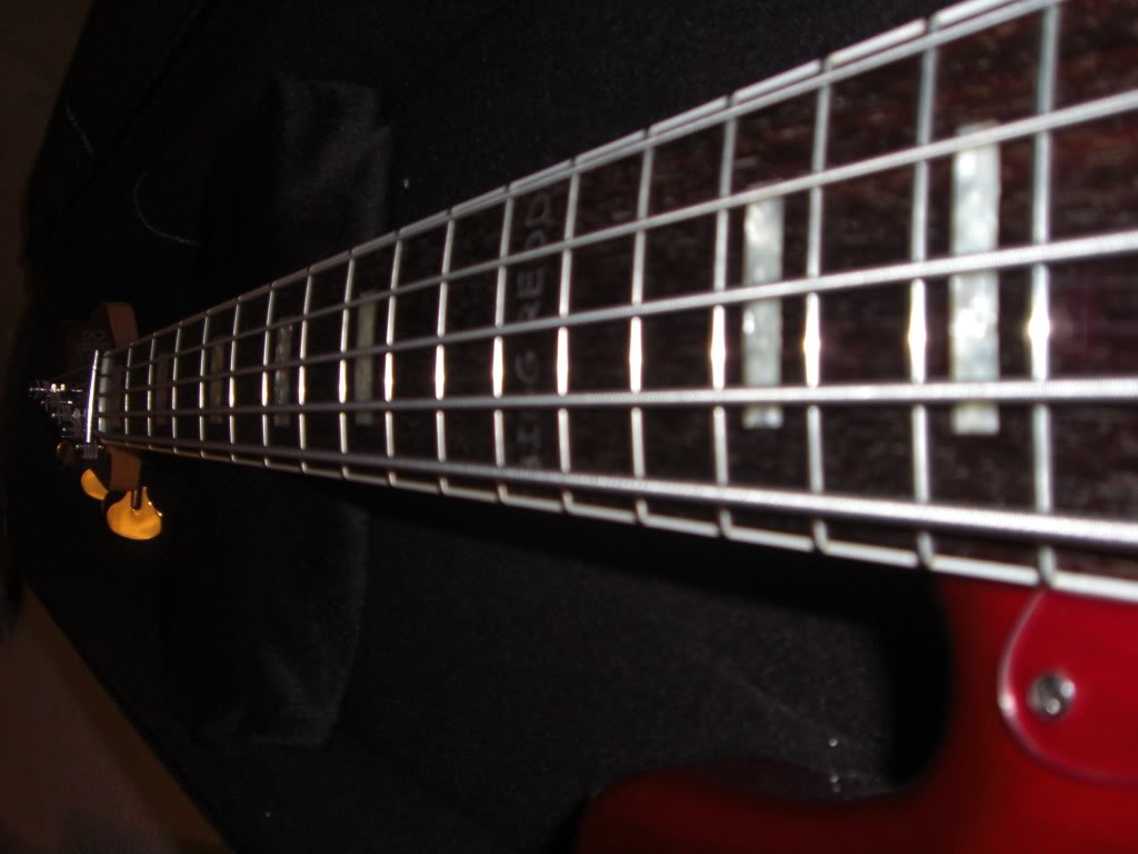 CIMG1252.jpg
