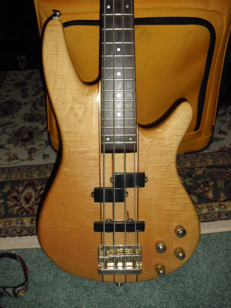 CIMG2599.jpg