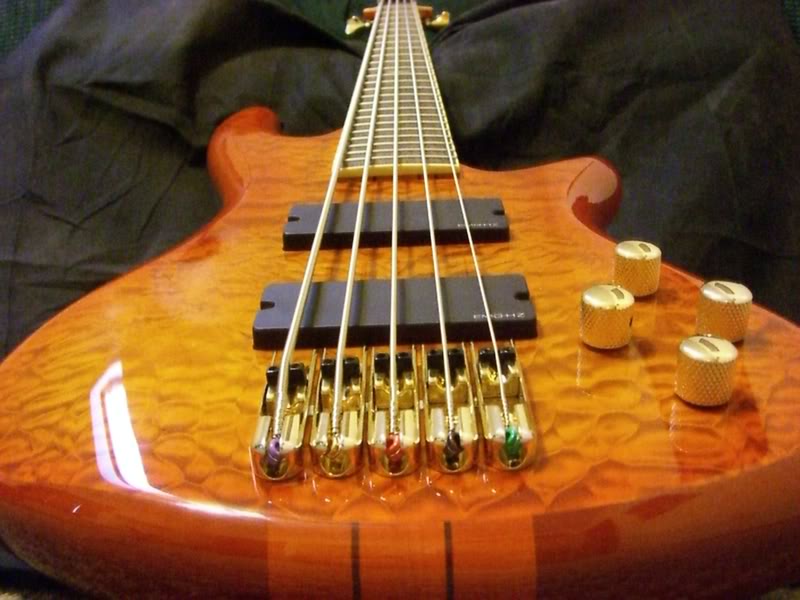 CIMG9539.jpg