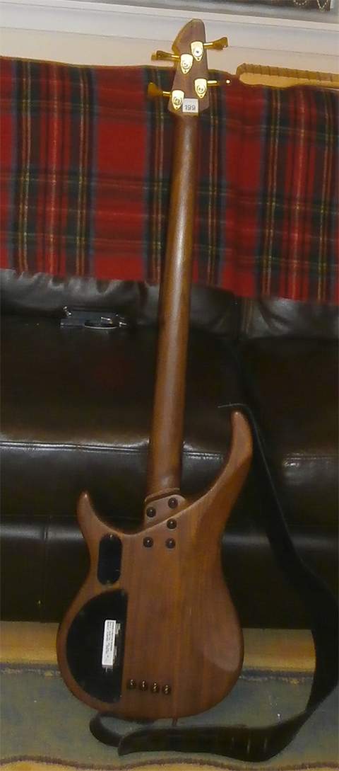 Cirrus Bolt on back.jpg