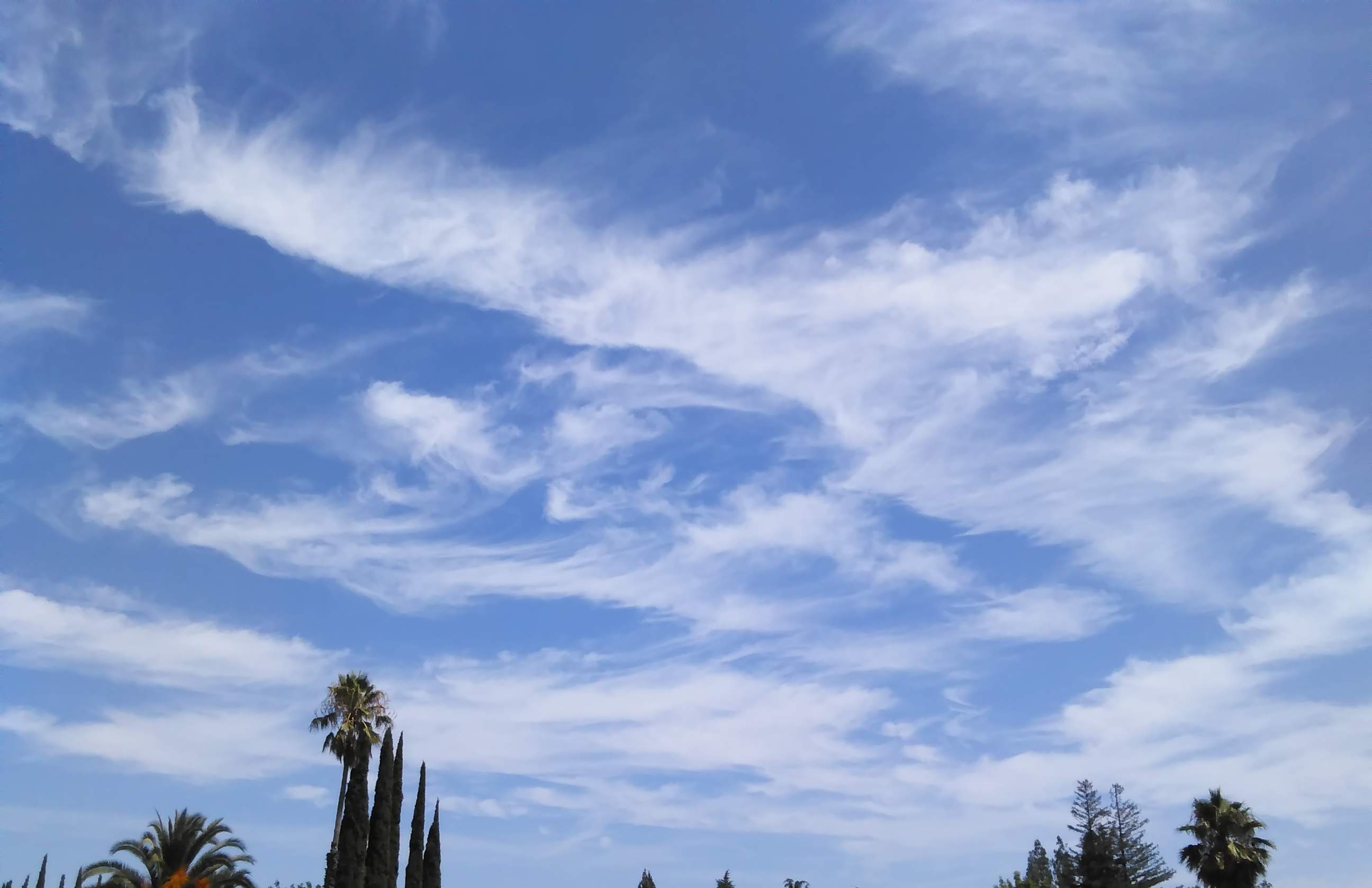 Cirrus Clouds 1 - 7-12-2018.jpg