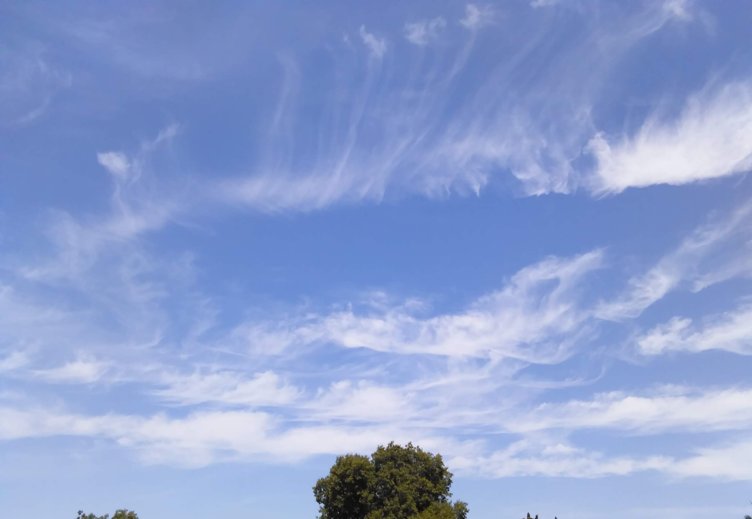 Cirrus Clouds 2 - 7-12-2018.jpg