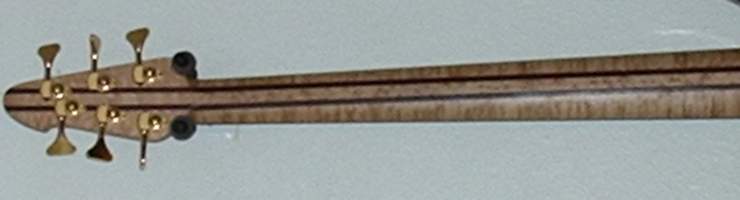 Cirrus neck back.jpg