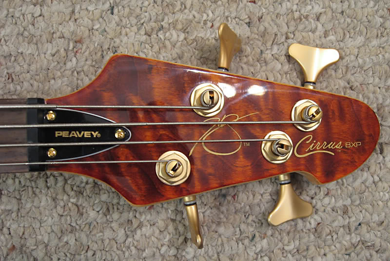 CirrusHeadstock.jpg