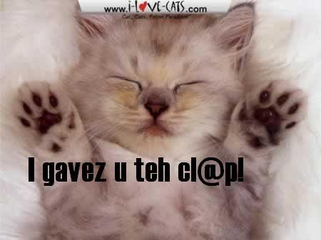 claplolcat.jpg