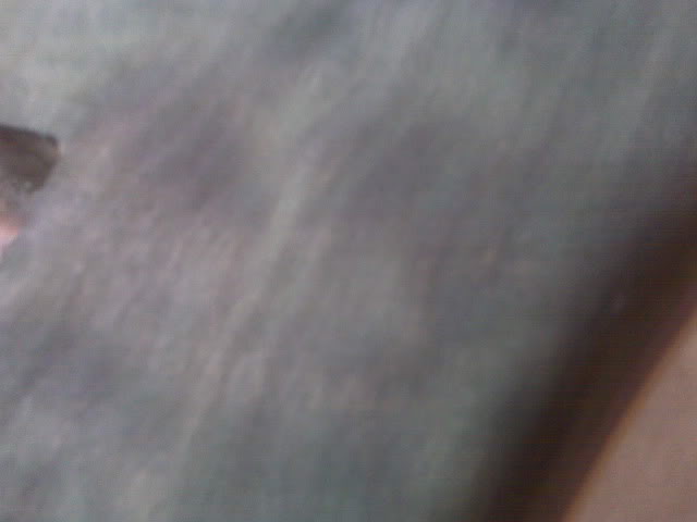 Close-up2.jpg