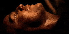 ClosedDemandingIndianhare-max-1mb.gif