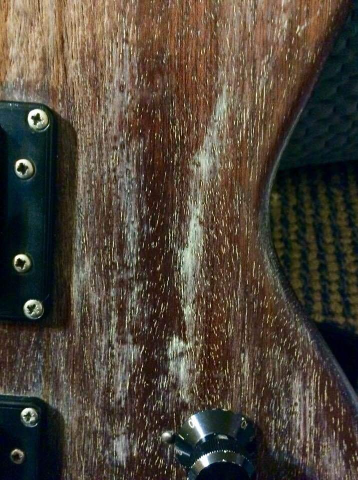 closeup.jpg