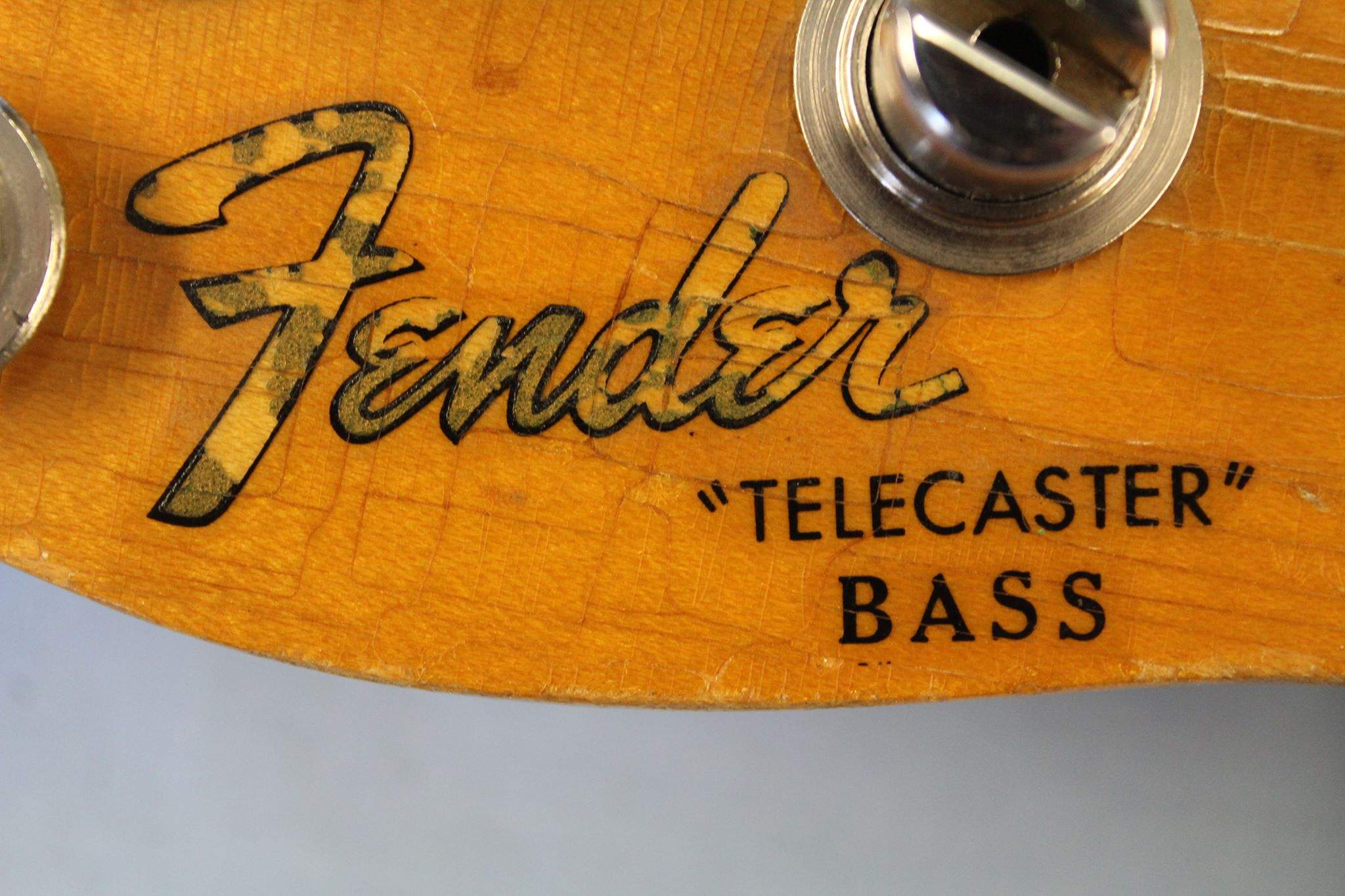 CloseupFenderLogo.jpg