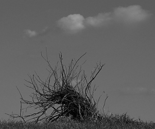 cloudophobiabw.jpg