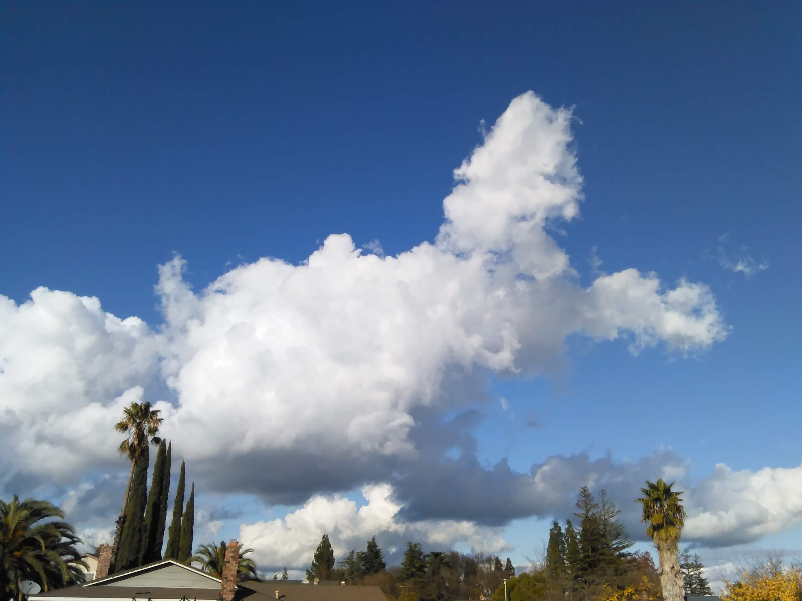Clouds 1 - 12-14-2019.jpg