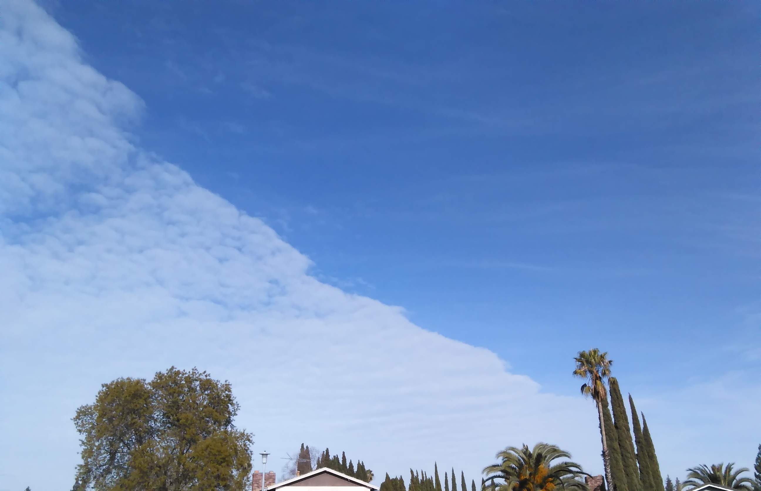 Clouds - 1-24-2020.jpg