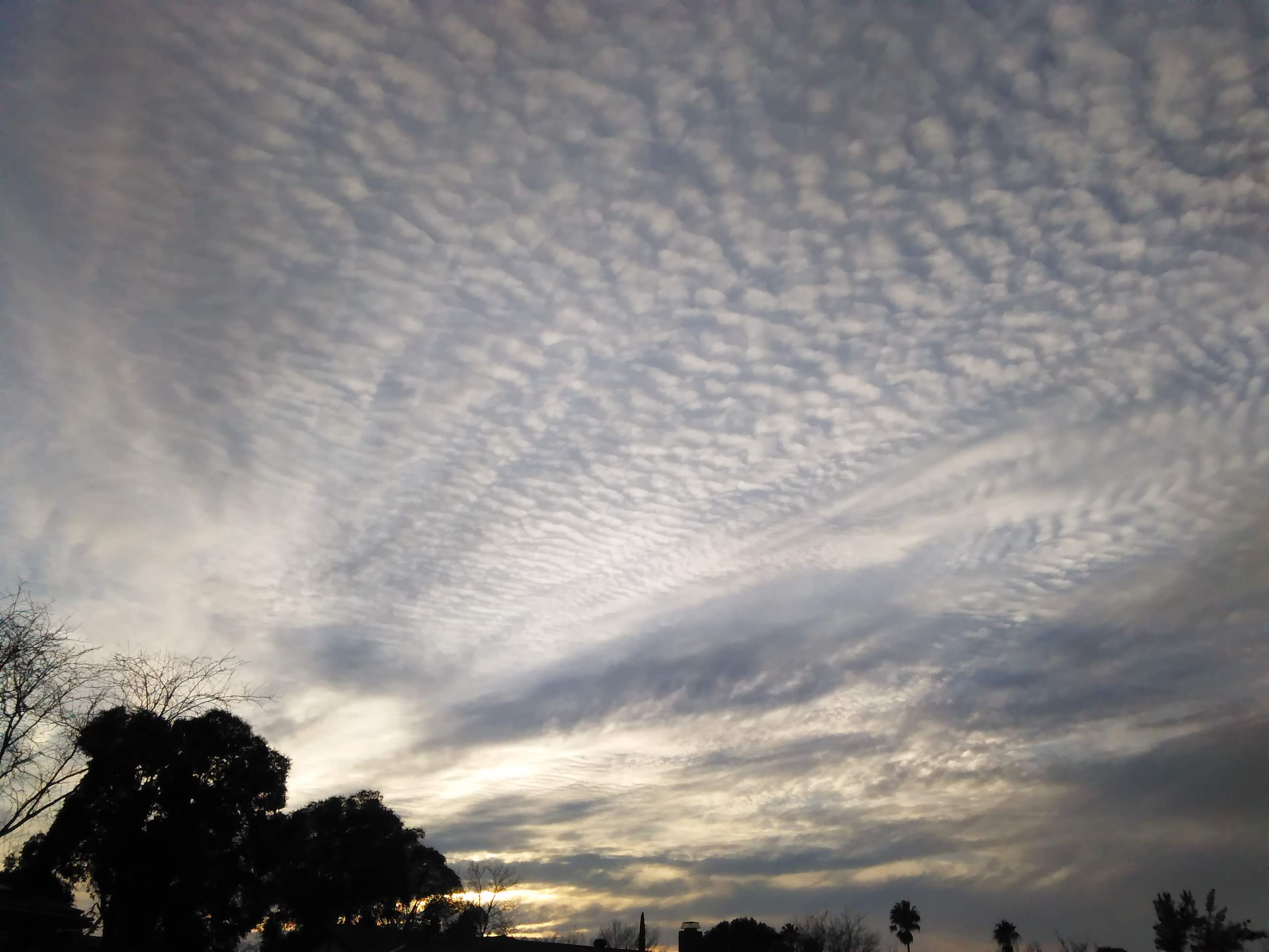 Clouds - 1-3-2019.jpg
